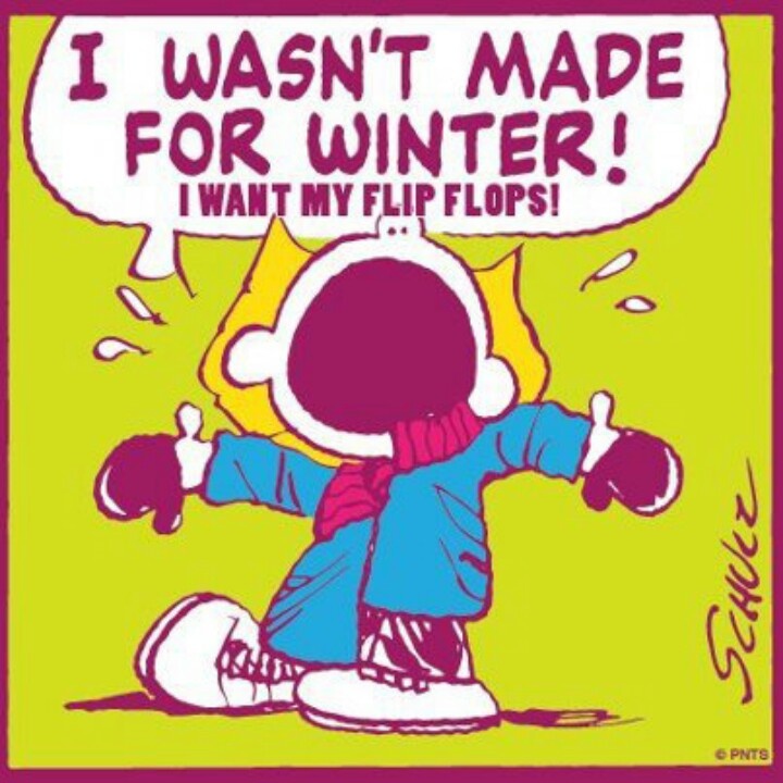 deef1e486f11ec7f13330aa703ebf981--flipflops-peanuts-gang.jpg