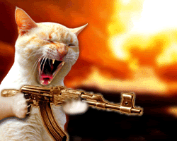 shooting%20cat.gif