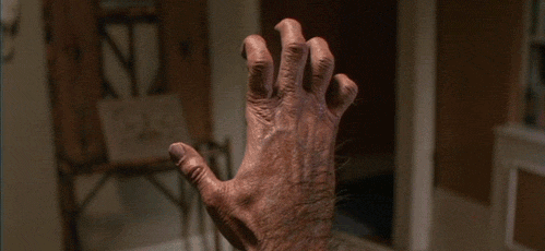 tumblr_mrdx0g1zwl1s0xrqjo1_500.gif
