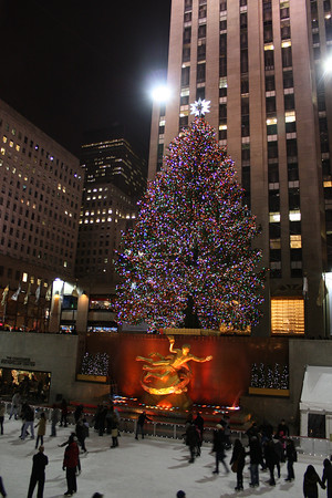 1122765796_Frgwm-M.jpg