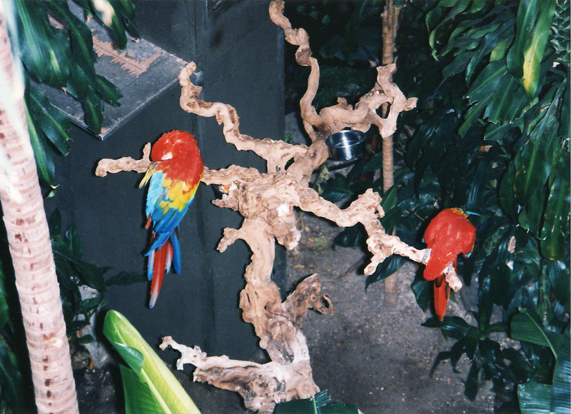 1204976442_EAQqG-L.jpg