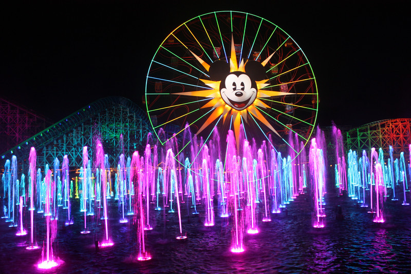 IMG0641-L.jpg