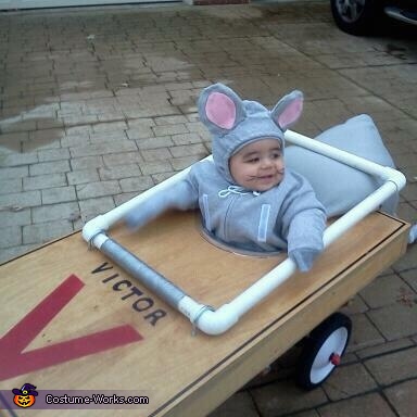 baby_mouse_caught_in_mouse_trap1.jpg