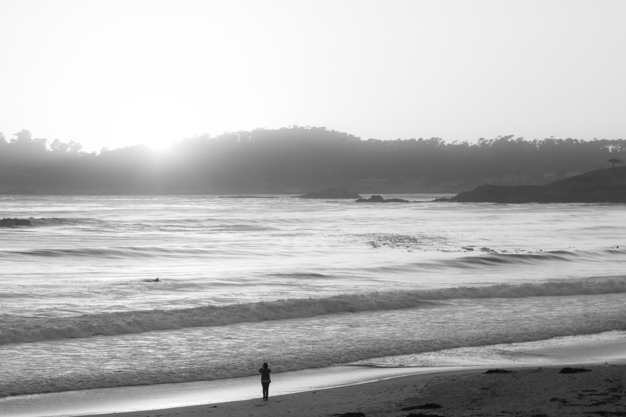 _DSC3623-X2.jpg