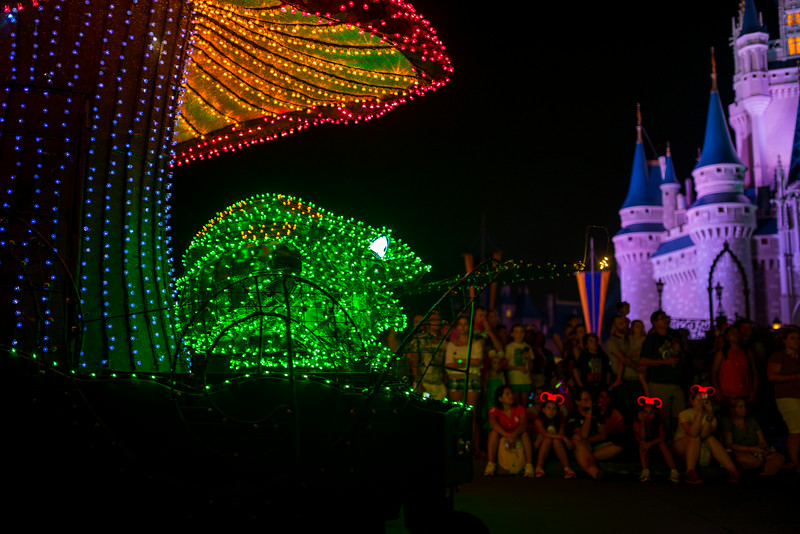 DSC_6009-L.jpg