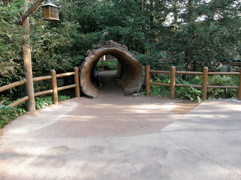 575430821_Cjahc-L.jpg