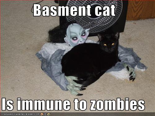 zombie-cat-1.jpg