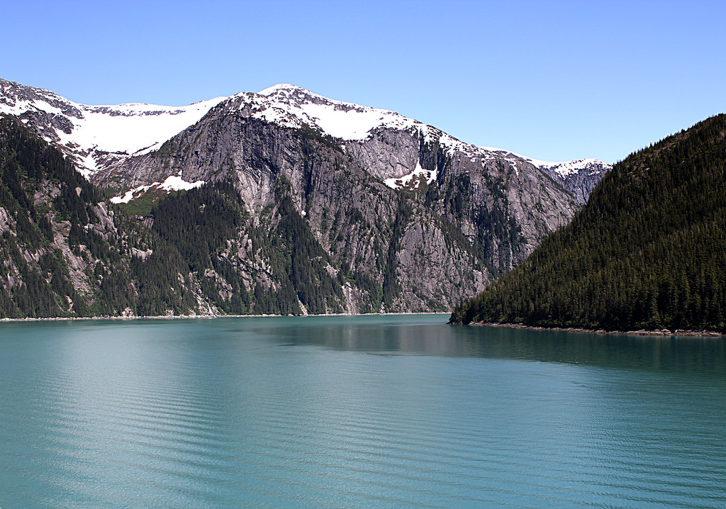 IMG_6338_1-XL.jpg
