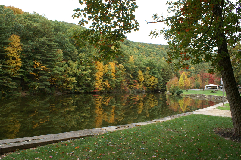 PICT4380-vi.jpg