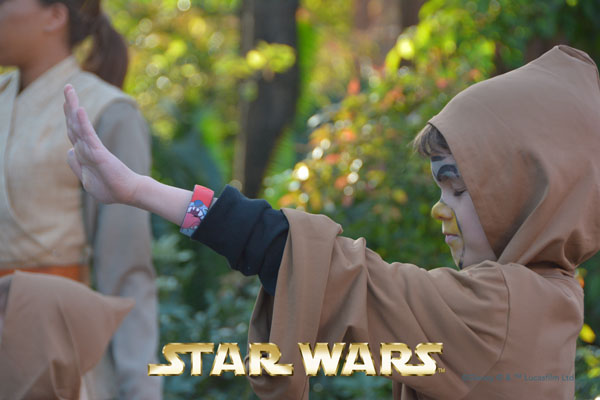 des_force.jpg