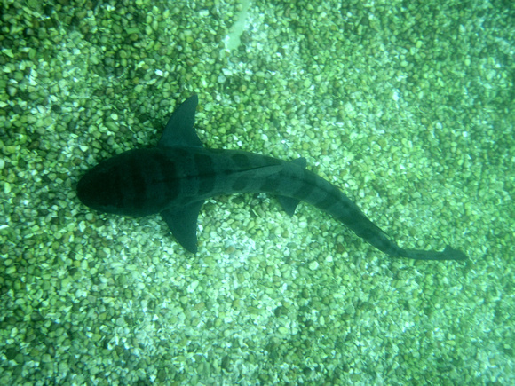 p342228462-3.jpg