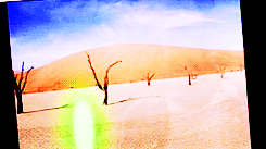 tumblr_lrybf5NDIz1ql1lryo3_250.gif