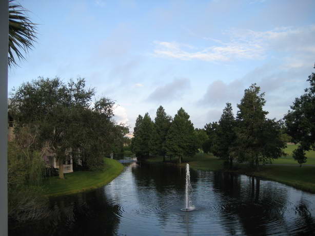 IMG_0775.JPG