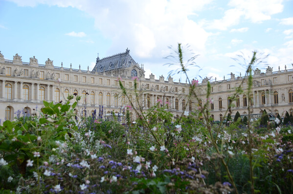 DSC_1847--M.jpg