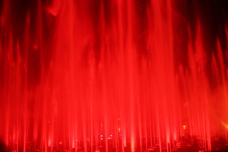 IMG0559-L.jpg