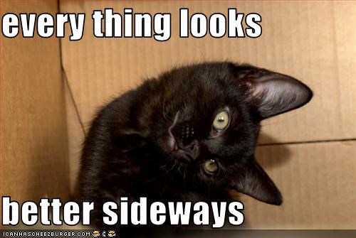 Cheezburger Image 1679803648