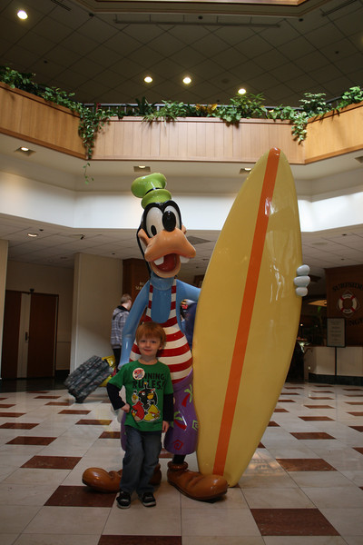 IMG0774-L.jpg