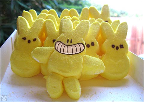 daily_apr16_2006_chubpeeps.jpg
