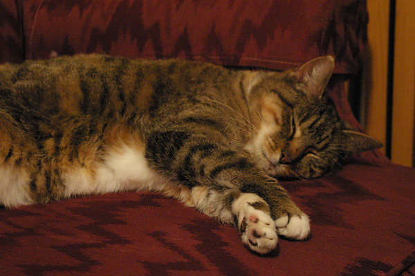 457191549_aXs3w-M.jpg