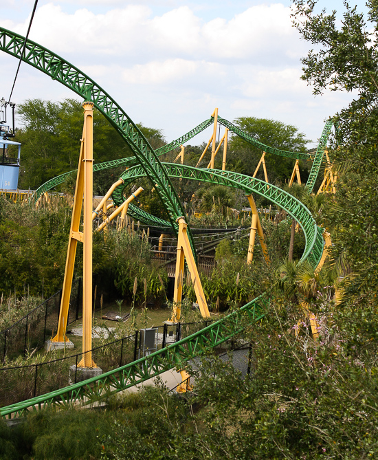 busch-gardens-tampa-2013-cheetah-hunt-3.jpg