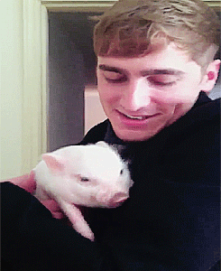 tumblr_lzb2f7sKzO1qeeagco3_250.gif