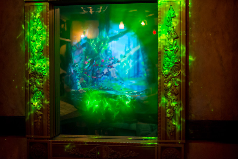DSC_6514-L.jpg