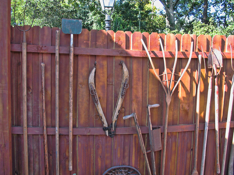 IMG4110-L.jpg