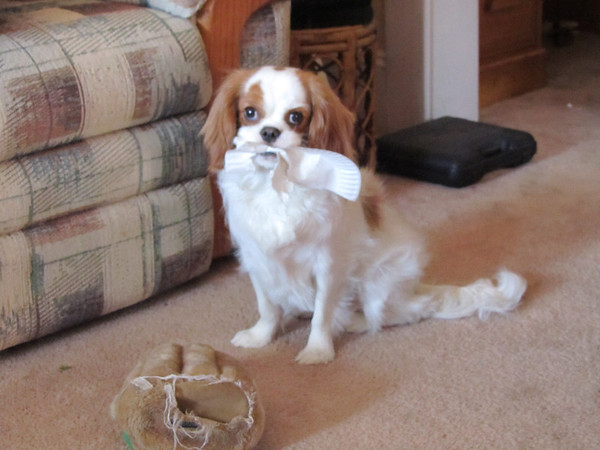 IMG0435-M.jpg