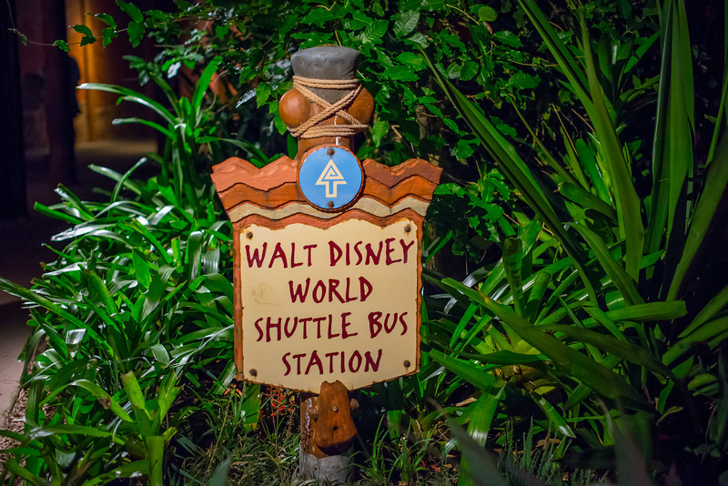 DSC_2120-L.jpg