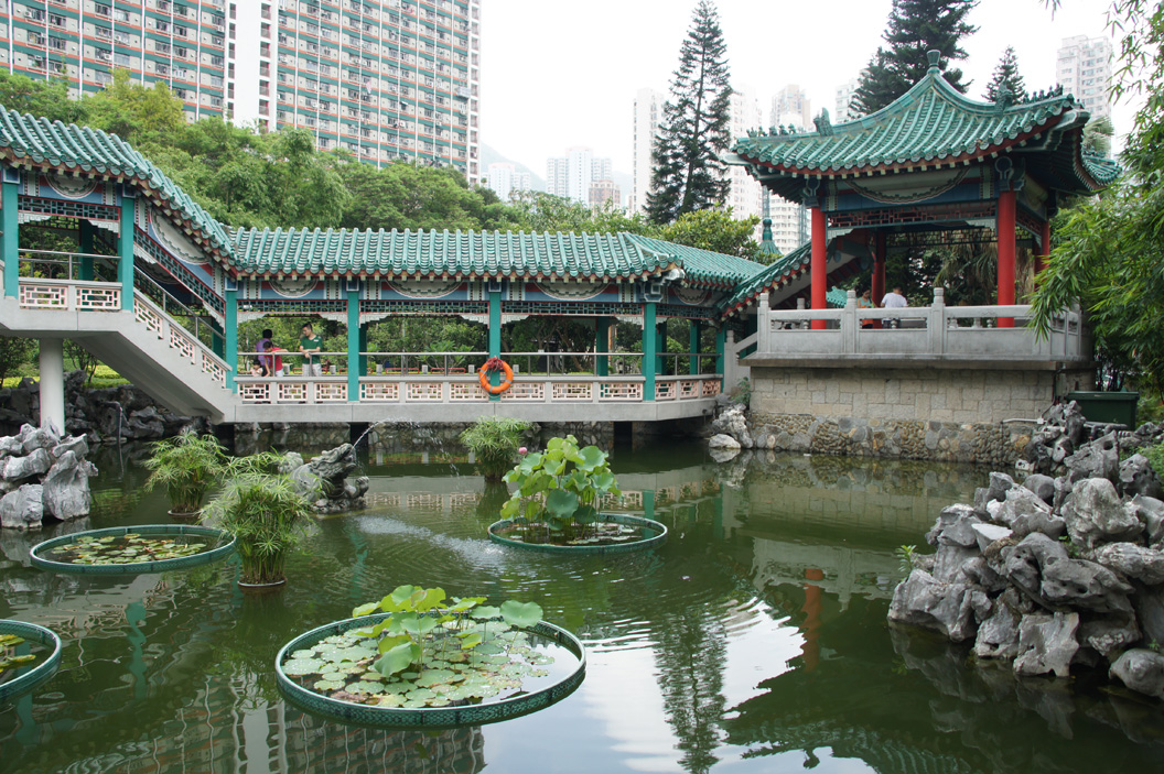 dsc07358.jpg