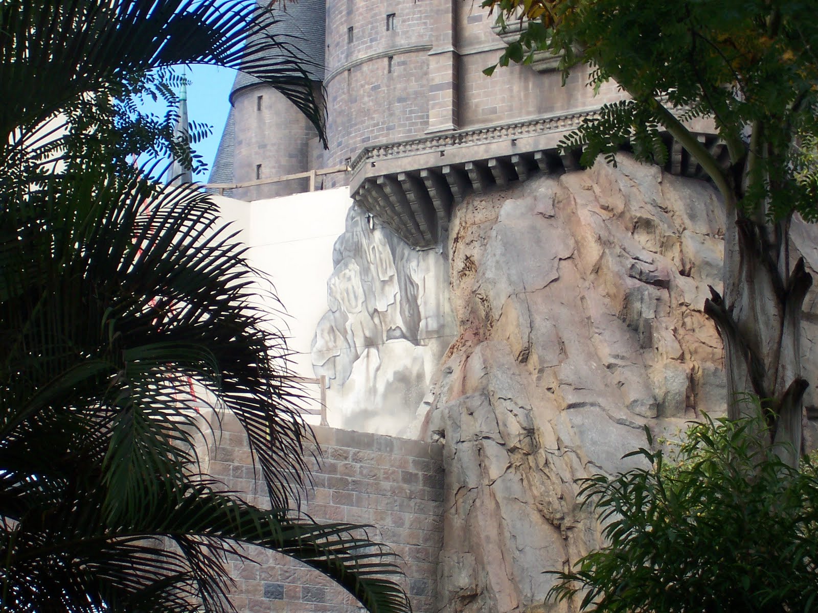 100_6564.JPG