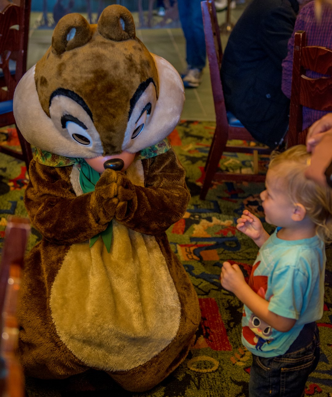 DSC_9736%20(Large).jpg