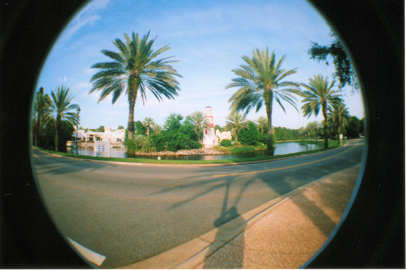 p742179337-4.jpg