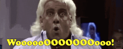 Image result for ric flair wooooo gif
