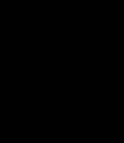 180px-Xenon-flash.gif
