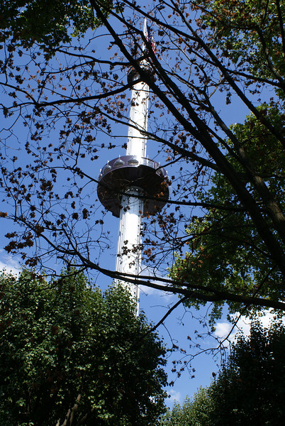 598265517_ALTxM-L-1.jpg