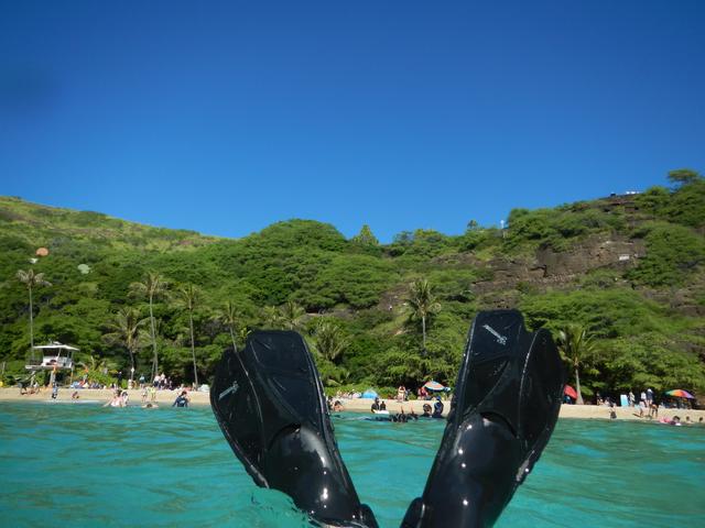 DSCN0771.jpg