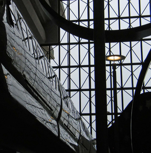 808155989_SxE7E-L-1.jpg