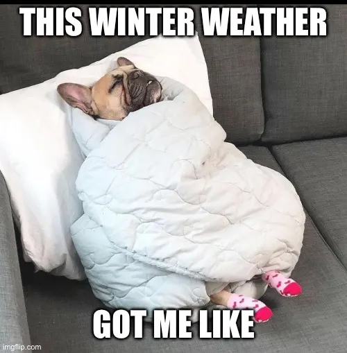 Winter-Weather-Meme.jpg.webp