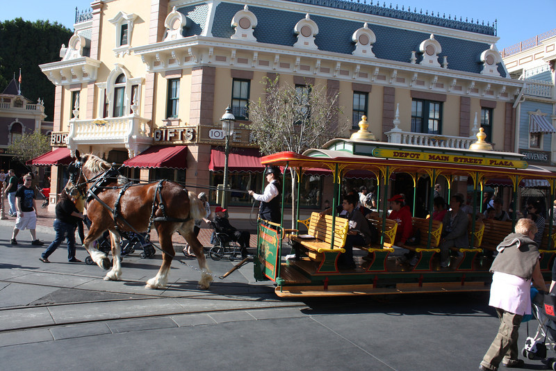 IMG9379-L.jpg