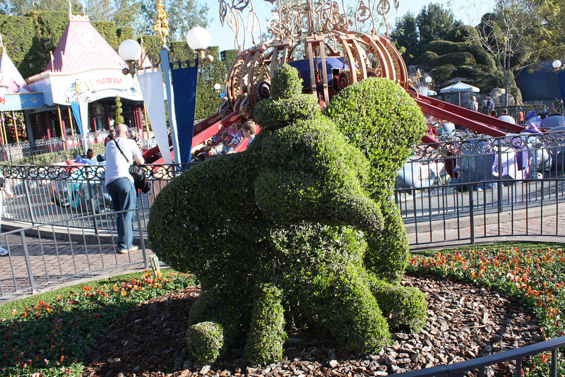 IMG9208-L.jpg