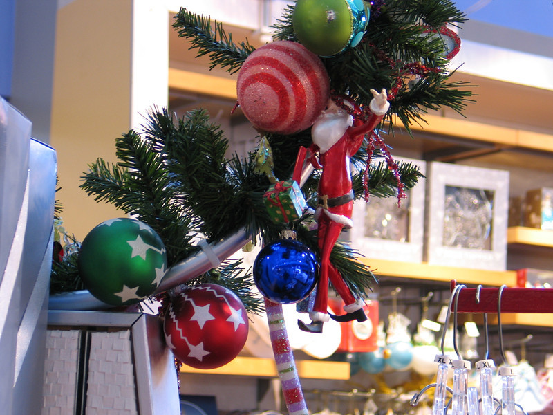 IMG6480-L.jpg