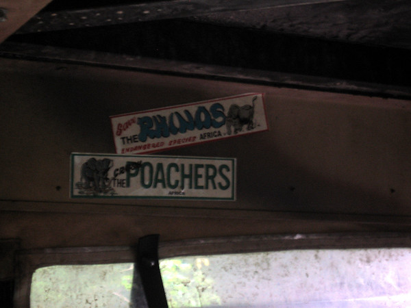 252503139_PhvAn-M.jpg