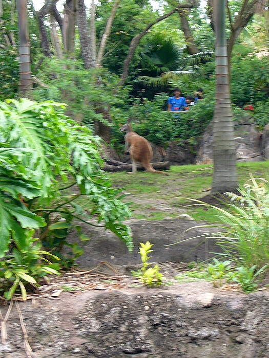 5423821120_0a581de74f_b.jpg