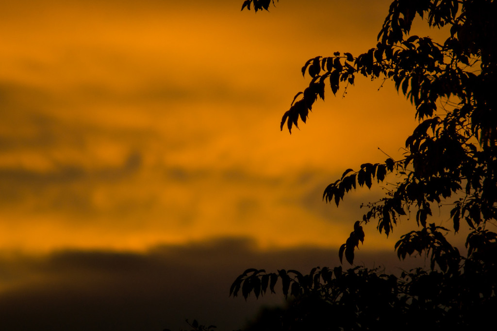 DSC09046-XL.jpg