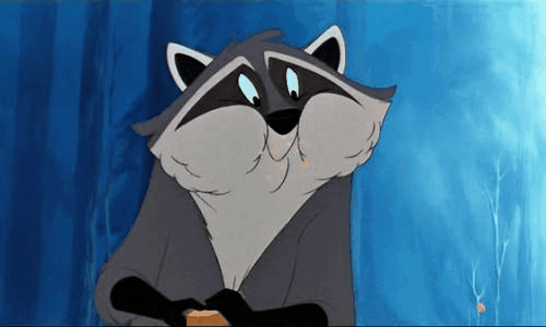tumblr_lxcusc6eFo1r6h4d9o1_500.gif