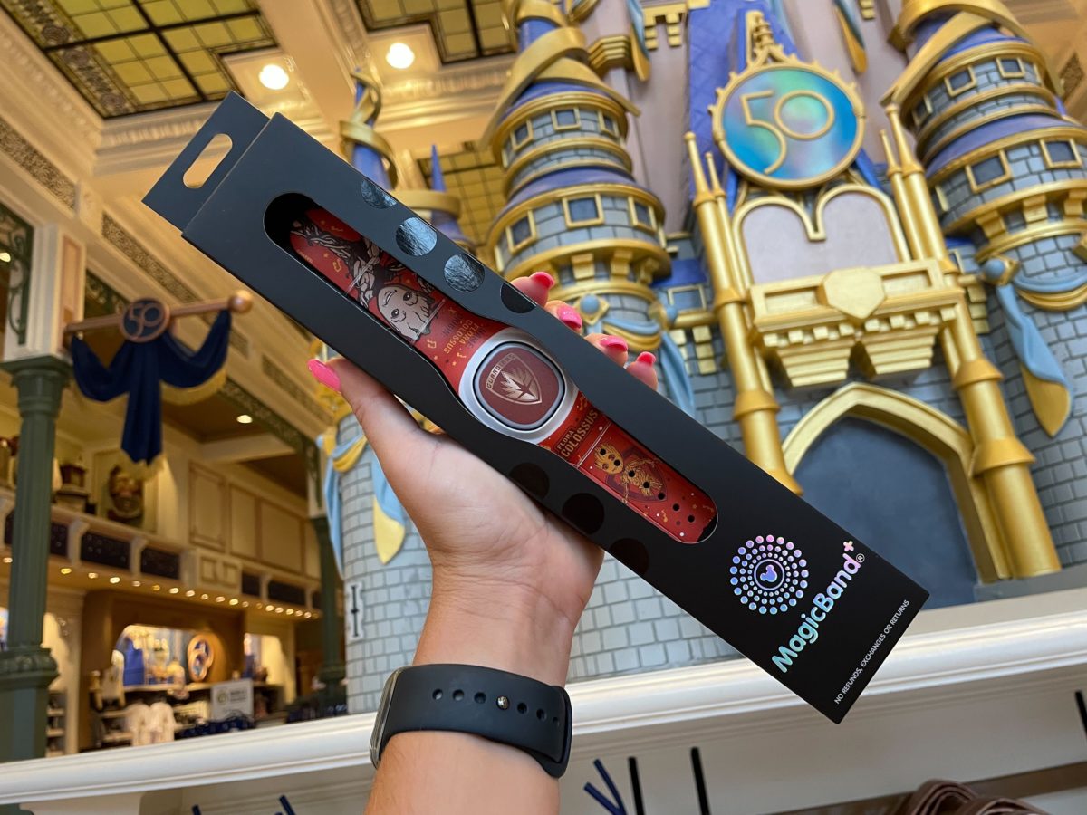 New MagicBand 15