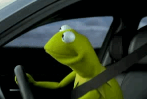 tumblr_lzv07evVwV1rnjzdro1_400.gif