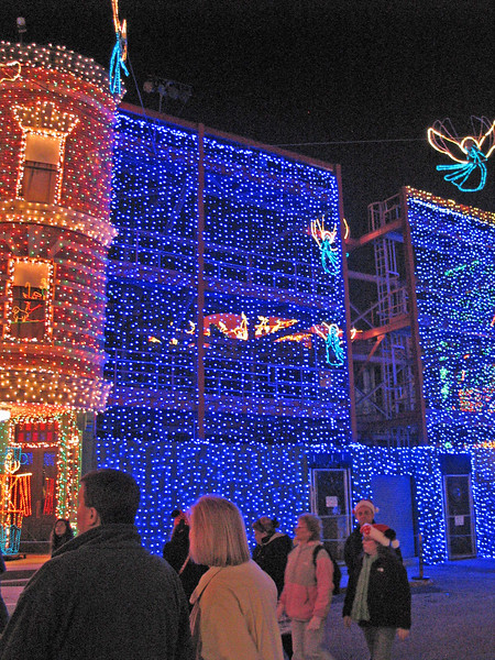 IMG7618-L.jpg
