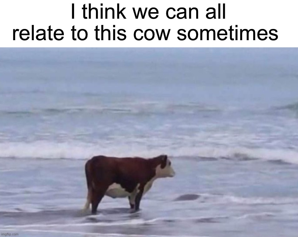 7phiy7.jpg